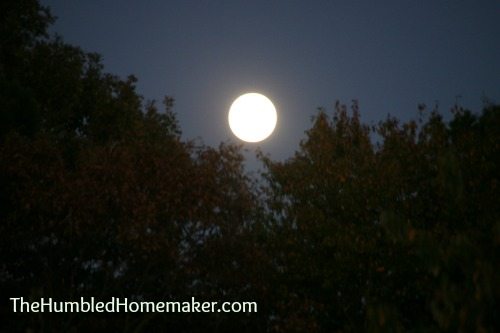 full moon birth