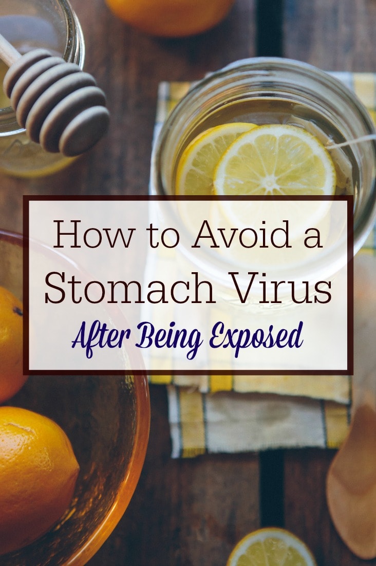 How to Avoid a Stomach Virus After Being Exposed The Humbled Homemaker