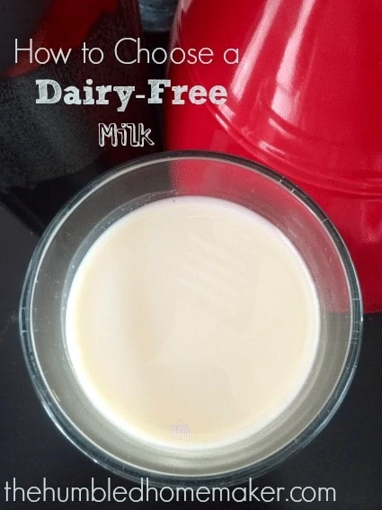 How-to-Choose-a-Dairy-Free-Milk-The-Humbled-Homemaker1