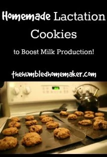 Homemade Lactation Cookies - TheHumbledHomemaker.com