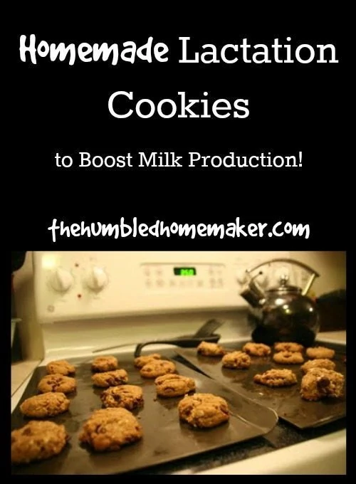 Homemade Lactation Cookies - TheHumbledHomemaker.com