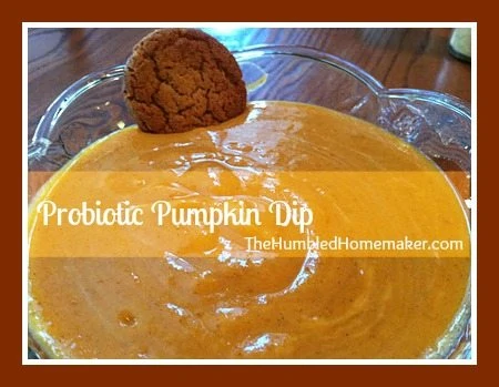 probiotic pumpkin dip at thehumbledhomemaker.com