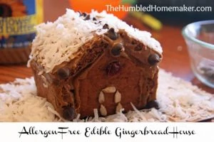 Do your kids have food allergies–or maybe you just like to eat food the “real” way? Why not make an edible, allergen-free “gingerbread” house?