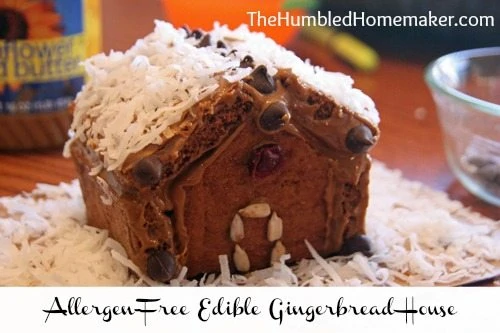 SO great for kids with food allergies!! Here is a step-by-step tutorial for making a gingerbread house using gluten, dairy, and egg free graham crackers and nut butter.