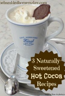 Just what I've been looking for!!! 3 Naturally-Sweetened Hot Cocoa Recipes | thehumbledhomemaker.com