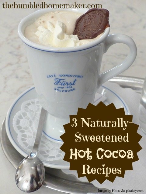 Just what I've been looking for!!! 3 Naturally-Sweetened Hot Cocoa Recipes | thehumbledhomemaker.com