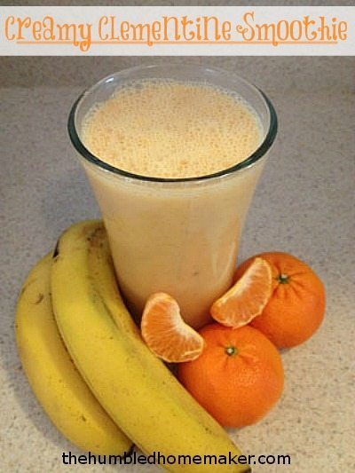 Creamy Clementine Smoothie -- TheHumbledHomemaker.com