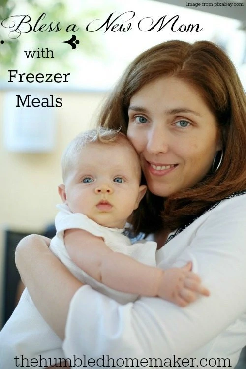 Freezer meals are my favorite way to bless a new mom! 
