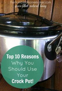 One of the ways I have managed to put healthy meals on my dinner table each evening for my large family is by utilizing my crock pot several times a week.