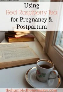 Using Red Raspberry Tea for Pregnancy and Postpartum - TheHumbledHomemaker.com