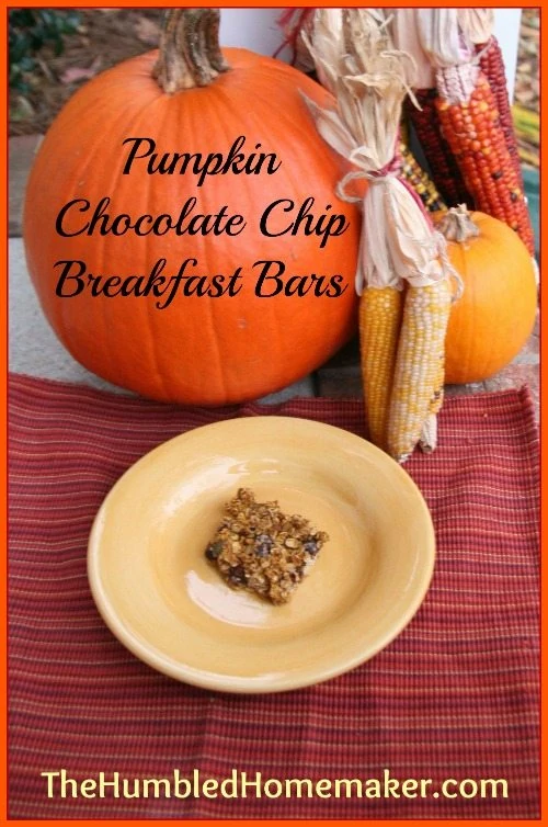 Not sure what to do with all your leftover pumpkin puree? These pumpkin chocolate chip breakfast bars are simple, healthful and the perfect way to start the day!