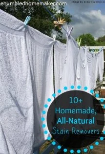 10+ Homemade, All-Natural Stain Removers - TheHumbledHomemaker.com