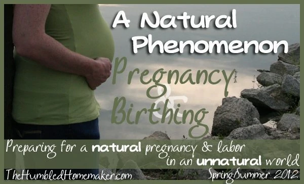 Pregnancy series for natural mamas