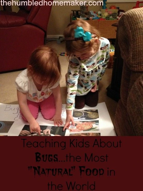 Teaching Kids About Bugs