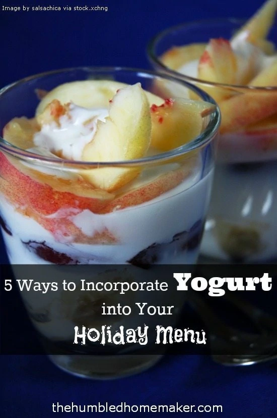 Yogurt is a super food that is not to be missed! I love these 5 creative ideas on incorporating yogurt into any holiday meal plan! 
