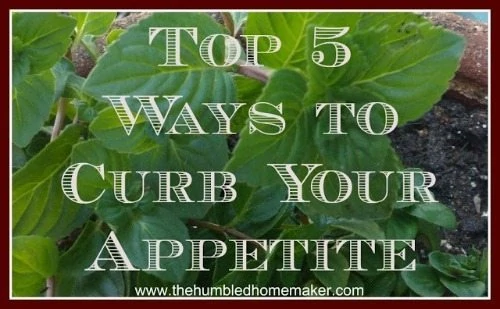 Top 5 Ways to Curb Your Appetite- TheHumbledHomemaker.com