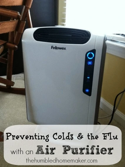 Preventing Colds & The Flu with An Air Purifier  The Humbled Homemaker
