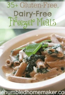 As I've been digging around the internet here lately, I've discovered a plethora of gluten-free, dairy-free freezer meal recipes!