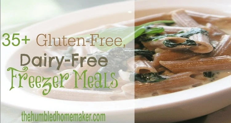 I have fallen in love with freezer meals! Check out these 21 gluten-free, dairy-free chicken freezer meals--many of which are no-cook freezer meals and/or are crock pot freezer meals as well!