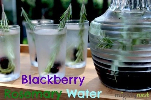 Blackberry Rosemary water w logo