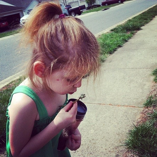Blowing Dandelions at almost 6 years old