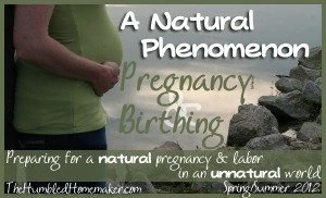 Natural Pregnancy and Birthing Series