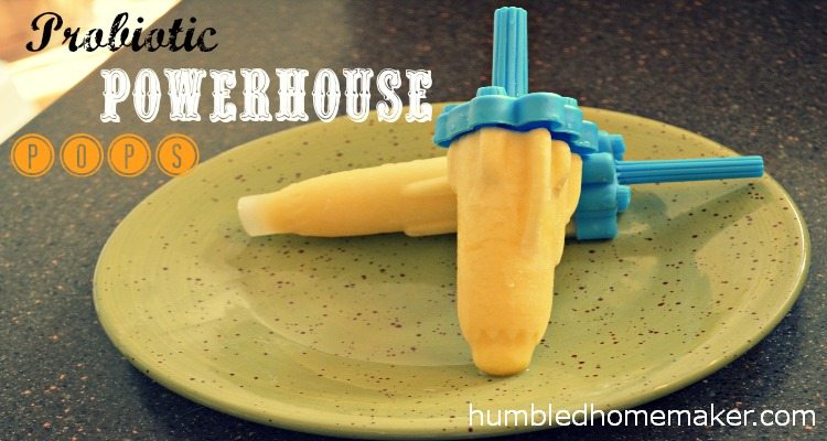 Probiotic Powerhouse Orange Popsicles - TheHumbledHomemaker.com