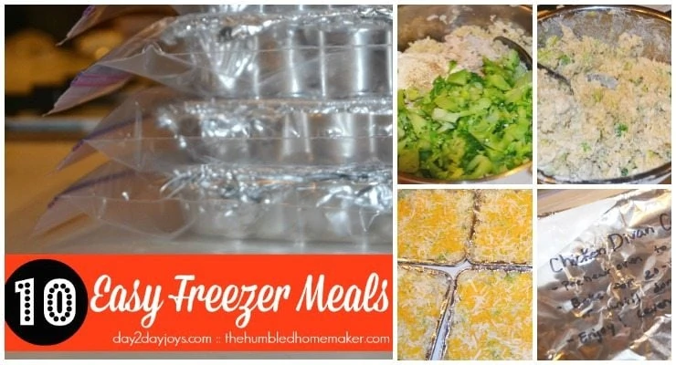 10 Easy Freezer Meals that You'll Love!