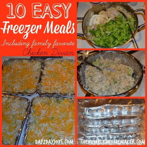 I've been wanting to start freezer cooking! These freezer meal recipes look delicious!