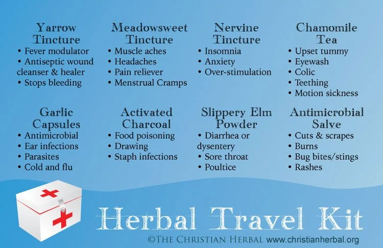 Here are 8 essential herbal remedies to include in your herbal travel kit.