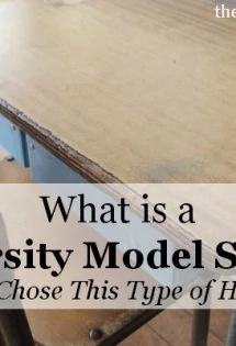 What is a University Model School?