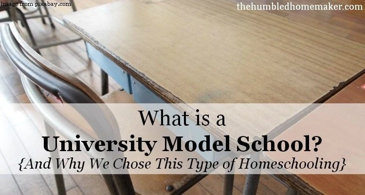 What is a University Model School?