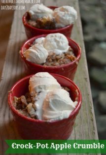 This crock pot apple crumble is perfect for a day when you don't want to heat up the oven! You dump the ingredients in a slow cooker, walk away, and come back to a delicious dessert sure to please a crowd!