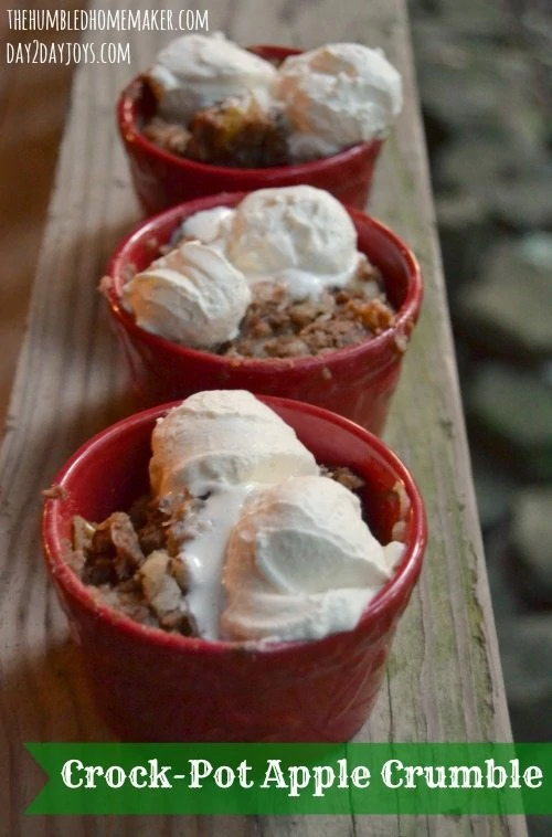 This crock pot apple crumble is perfect for a day when you don't want to heat up the oven! You dump the ingredients in a slow cooker, walk away, and come back to a delicious dessert sure to please a crowd! 