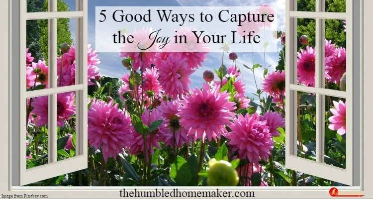 How to Capture the Joy in Your Life - TheHumbledHomemaker.com