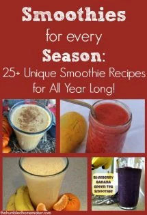 To spice things up a bit, I decided to curate a list of unique smoothie recipes for each season of the year. My state of North Carolina actually experiences every bit of fall, winter, spring and summer...and I'm excited to try each of these out this year!