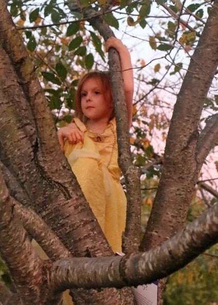 Tree Climbing Princess