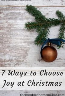 When loneliness tugs at your heart, like it often does mine, intentionally choosing joy at Christmas can be a challenge. Here are 7 ideas that might help!