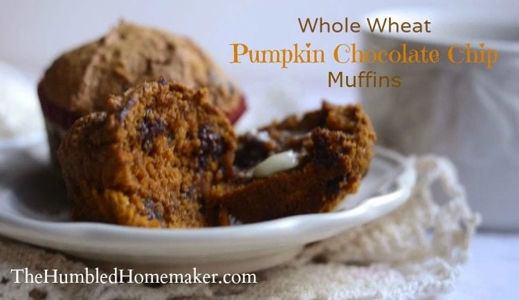 Healthy Pumpkin Chocolate Chip Muffins