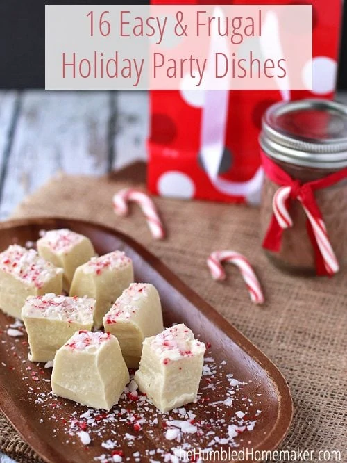 Love these easy and frugal holiday party foods! They won't break the budget, and they're a lot healthier than buying pre-made goodies!