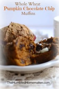 These pumpkin chocolate chip muffins look amazing!! They're made with whole wheat and sucanat so they're nice and healthy, too! Freeze a big batch to have some handy for a quick breakfast.
