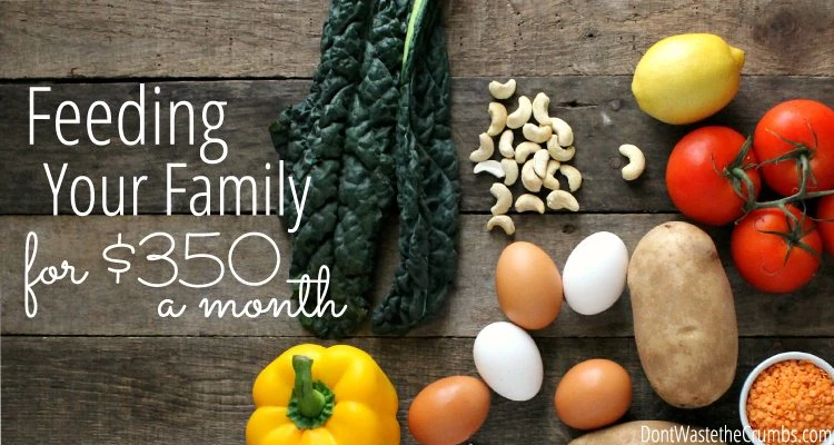 You CAN feed your family real food on a budget! This is an awesome resource for feeding a family of 4 on just $350 per month!