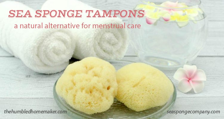 Using Sea Sponge Tampons for Natural Menstrual Care - TheHumbledHomemaker.com