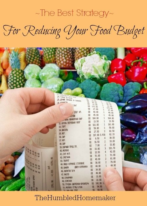 Good advice! If you want to save money on groceries and reduce your food budget, this IS one "best" way!