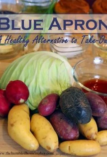 I recently discovered Blue Apron, and I absolutely love it! I am looking forward to using the service again in the future as a healthy alternative to take-out! Check out why I love Blue Apron so much, and how I think Blue Apron can save you time and money!