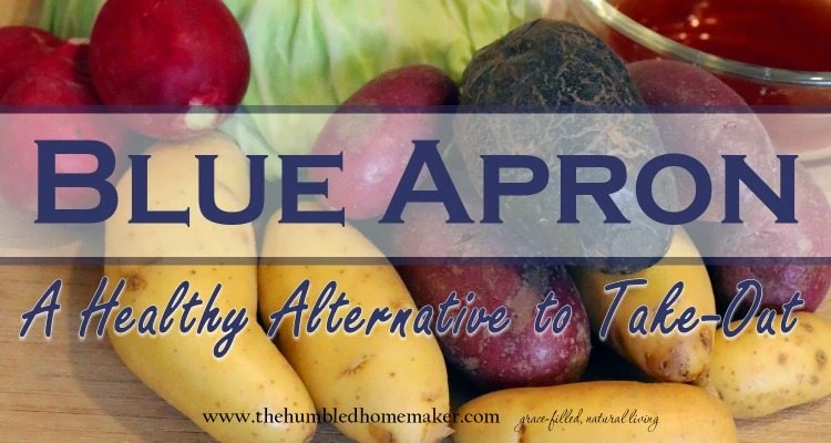 I recently discovered Blue Apron, and I absolutely love it! I am looking forward to using the service again in the future as a healthy alternative to take-out! Check out why I love Blue Apron so much, and how I think Blue Apron can save you time and money! 