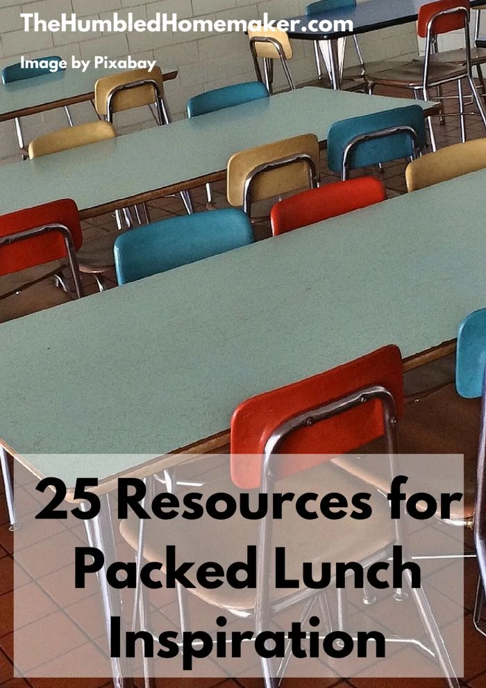 Once you settle in to a new school year, it gets tricky to think of creative packed lunch ideas. Here are 25 resources to help give you inspiration!
