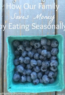 Making the most of our one-income budget is really important to me. One way our family saves money is by eating seasonally. 
