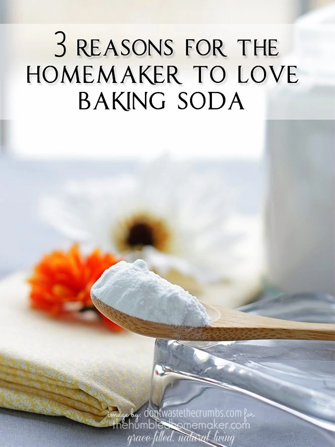 Baking soda has many great purposes, but I can think of 3 reasons for the homemaker to love baking soda.