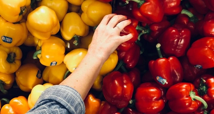 Here are recipes and tips for using up extra peppers from your garden or the clearance produce rack at the grocery store!